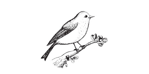 Coloring book happy birds for kids. Funny birds, flowers, leaves and berries. Flat vector illustration with cartoon bird silhouette. Cute characters. Minimalist poster design
