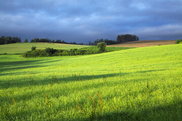 日の出直後の牧草畑(美瑛町）