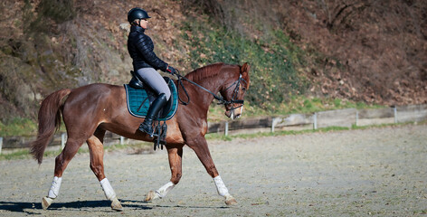 Dressage horse with rider in the riding arena at a strong trot during the suspension phase, the...