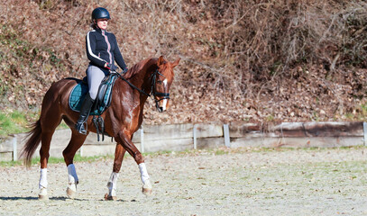 Dressage horse with rider in the riding arena, main motif on the left of the picture with space for text on the right..
