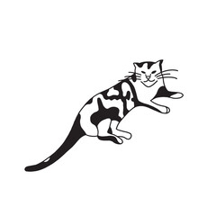 Cat black and white illustration, on white background. Cat laying down.