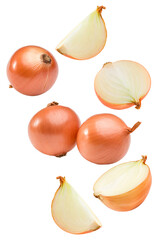 flying onion with cut of onion isolated on white background. clipping path