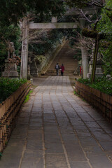 東京赤坂にある氷川神社の境内