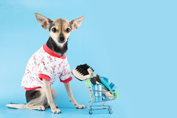 pet shopping, cute dog in a t-shirt with a supermarket trolley with pet goods, buying dog...