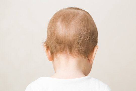 Dark blond soft hair of little baby boy. Isolated on light gray background. Closeup. Back view.