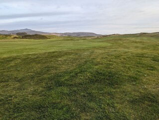 Half Moon Bay farmland, farm field landscape, wildflower farm field, Half Moon Bay coastal farm field