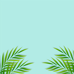 green palm leaf vector for background. Tropical palm frond frame. Summer tropical leaves. summer greeting cards 