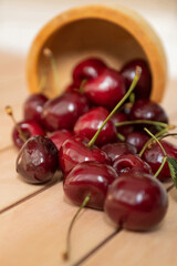sweet cherry berries scattered from bowl on wooden table surface