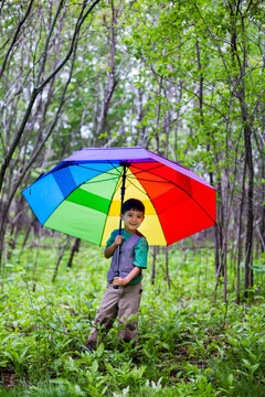 Boy standing in forest and holding colorful umbrella