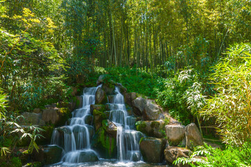 waterfall in a bamboo forest