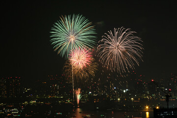 東京湾大華火祭 in 2013