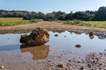 Close-up of a rock reflected in a puddle
