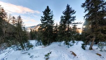 Forest Winter hike tour through the Jochberg Bavarian landscape