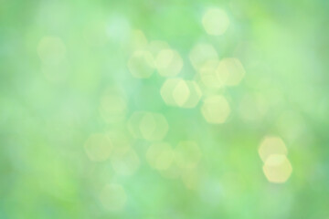 Fototapeta premium Beautiful blurred natural green leaves for green background.