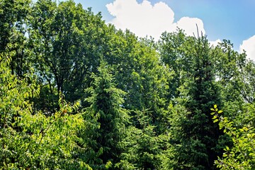 Natur