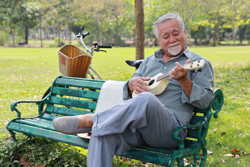 Happy smiling asian senior man with beard sitting on bench playing ukulele and singing a song in...