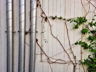 Tubos 111202