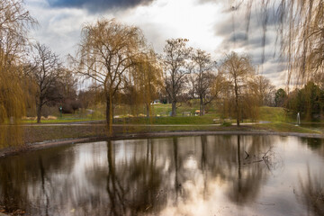 Am Teichufer im Kurpark Oberlaa in Wien