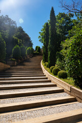Stairs in the city park with bushes and trees on a sunny summer day.