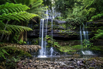 Russell Falls, a tiered–cascade waterfall on the Russell Falls Creek, located in the Central Highlands region of Tasmania, Australi