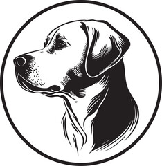 Vector logo of a dog head Labrador on white background, Pet. Animals.