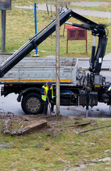 Utility worker remove a fallen electric pole after a car accident using a crane.	