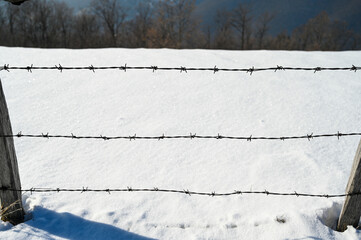 Barbed wire against snow. Rusty metal wire fence. Symbol of concentration camp, prison, jail,...