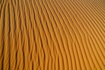 sand dunes in the desert