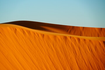 sand dunes in the desert