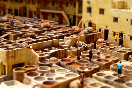 Chouara Tannery in the city of Fez, Morocco. 