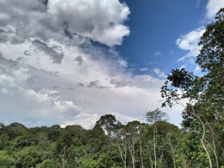 Obraz premium sky and clouds