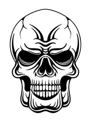 vector outline head skull illustration
