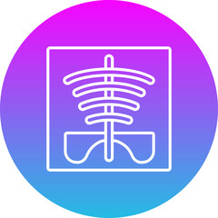 X Ray Icon