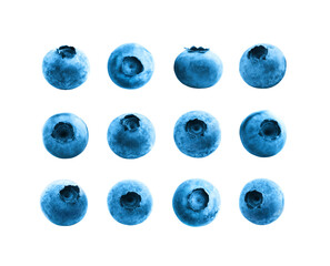 Large set of blueberries. Fresh berries isolated on transparent background. 