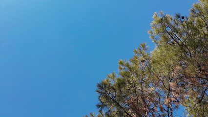 Chitgar Forest Park, Tehran

It is located in the western region of Tehran. This large park, known as Chitgar Forest Park, is one of the largest green places in Tehran.