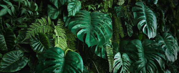 closeup green leaf dark nature concept. tropical leaf