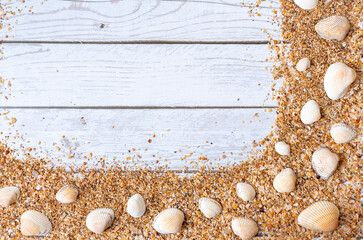 Sand seashells background. Summer time concept with sea shells and starfish on wooden background and sand