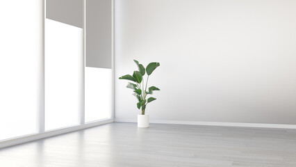 Interior mockup with panoramic window and and plant in the pot on empty living room wall background. 3D rendering