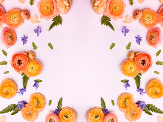 Composition of Purple Hyacinth and Yellow Buttercups on Light pink Background. Holiday banner, copy space. Valentines Day, Mothers day, birthday or arrangement concept.