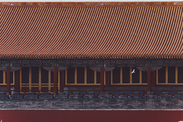 roof tiles on a roof in the forbidden city