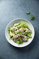Homemade crab salad with cucumber