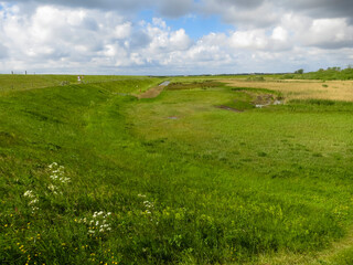 Landscape at Texel