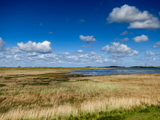 Landscape at Texel