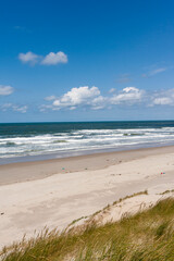 Landscape at Texel