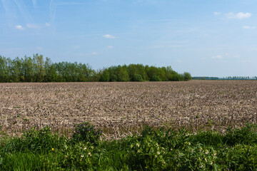 Drowned Land of Saeftinghe