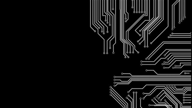 Animated Circuit With Alpha Video