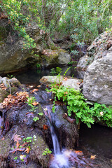 Richtis-Schlucht (Richti Gore) in Ostkreta, Griechenland