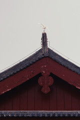 bird on traditional chinese roofing