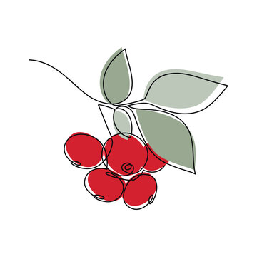 recommend clip art: Red berries brunch vector one line continuous drawing illustration. Hand drawn linear silhouette icon. Minimal design element for print, banner, card, wall art poster, brochure, postcard.
