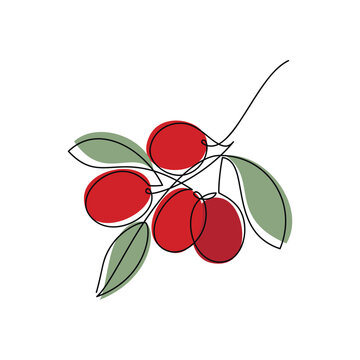 recommend clip art: Red berries brunch vector one line continuous drawing illustration. Hand drawn linear silhouette icon. Minimal design element for print, banner, card, wall art poster, brochure, postcard.